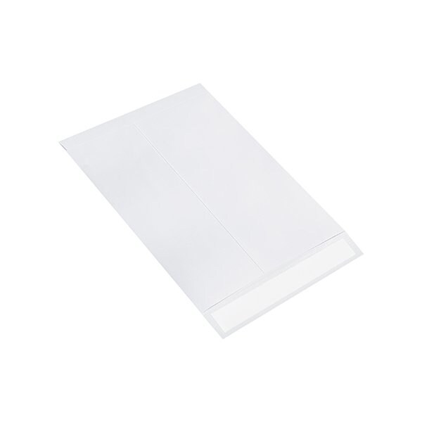 Bsc Preferred 9 x 12'' Flat Ship-Lite Envelopes, 100PK BUY00029096 - main